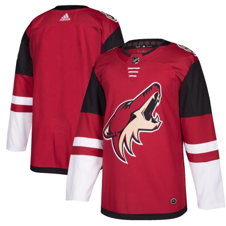 Men's  Arizona Coyotes Burgundy Red 2018 Season Home Stitched NHL Jersey